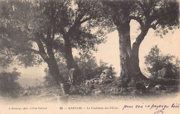 Algérie - KABYLIE - La Cueillette Des Olives - Ed. J. Boussuge 30 - Plaatsen