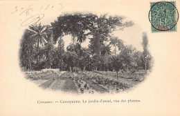 Guinée - CONAKRY - Camayenne - Le Jardin D'essai, Vue Des Plantes - Ed. Inconnu  - Guinee