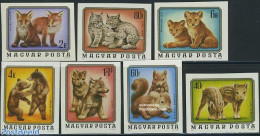 Hungary 1976 Young Animals 7v Imperforated, Mint NH, Nature - Animals (others & Mixed) - Bears - Cat Family - Ungebraucht