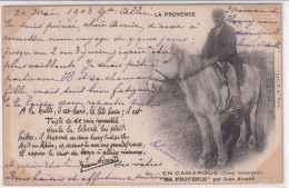 La Provence (13 Bouches Du Rhône) En Camargue Cheval Camarguais "Ma Provence" Par Jean Aicard Poème La Liberté Lui Plait - Sonstige & Ohne Zuordnung