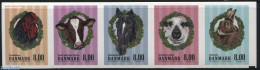Denmark 2016 Farm Animals 5v S-a, Mint NH, Nature - Animals (others & Mixed) - Birds - Cattle - Horses - Poultry - Rab.. - Nuevos