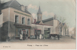 PUSSAY - Place De L'Orme - Sonstige & Ohne Zuordnung
