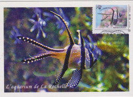 Carte Maximum Aquarium De La Rochelle L'apogon De Handern Oblt 1er Jour Poitou Charentes Comme J'aime - 2010-2019