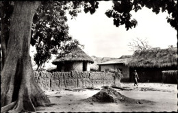 CPA Dahomey Benin, Fetischpython In Ouidah - Kamerun