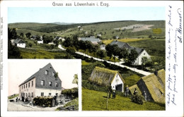 CPA Löwenhain Geising Altenberg Erzgebirge, Blick Auf Ortschaft Und Umgebung, Bauernhaus - Autres & Non Classés