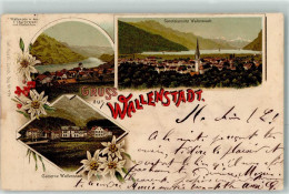 13616211 - Walenstadt - Other & Unclassified