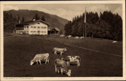 CPA Bad Wiessee In Oberbayern, Freihaus Brenner, Kühe - Other & Unclassified