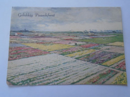 D203301  CPSM Netherlands - Gelukkig Paaschfeest  Pfingsten Pentecost  -Tulip Fields - Pentecostés