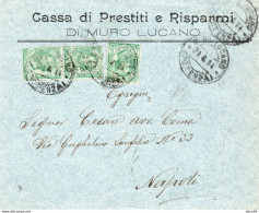 1917 LETTERA INTESTATA CASSA DI PRESTITI E RISPARMI DI MURO LUCANO POTENZA - Marcophilia