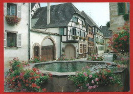 Eguisheim (68) Maisons à Colombages Fontaine Typique Avec Blasons 2scans - Sonstige & Ohne Zuordnung