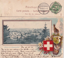 Frauenfeld - Gruss Aus...  (Prägekarte Mit Gemse)         1901 - Frauenfeld
