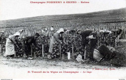 51 CHAMPAGNE POMMERY ET GRENO REIMS  LE LIAGE TRAVAIL DE LA VIGNE  EDIT ROTHIER - Vines
