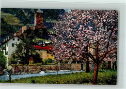10541511 - Nenke Serie 144 Nr. 2710 Obstbluete In Tirol - Autres & Non Classés