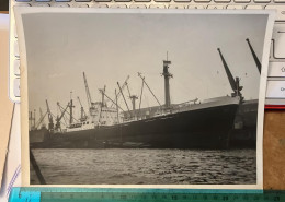 REAL PHOTO BATEAUX MARITIME SHIP CARGO DOCKS  " TATIANA " 1960,s - Boats