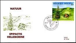 - 2575 - FDC - Natuur - Planten    - 1991-2000