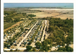 83 - LA LONDE LES MAURES - Camping - Caravaning De La Pascalinette  -  Année 70 - La Londe Les Maures