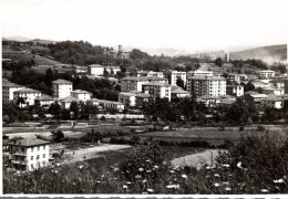 CARCARE, Savona - FOTOGRAFIA PROVINO Cm. 10,5 X 15,0 Ca. - Panorama - #002 - Savona