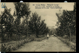Carte Avec Vue: N° 43 - 59 ( Poste De La Loua - Plantations De Funtumia) Obl.: 1913 - Enteros Postales