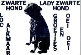 51526011 - Lady Zwarte Hond - Dogs