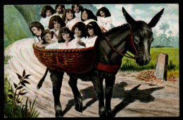 FRANCE   -     âne Transportant Des Enfants. - Esel