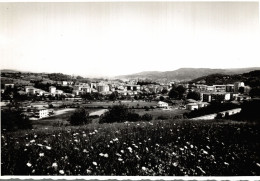 CARCARE, Savona - FOTOGRAFIA PROVINO Cm. 10,5 X 15,0 Ca. - Panorama - #009 - Savona