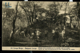 Carte Avec Vue: N° 43 - 60 ( Attaque D'une Termitière Sur La Nouvelle Route De Lukafu) Obl. 1913 - Enteros Postales