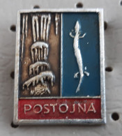 POSTOJNA Postumia Postojnska Jama  Grotte Cave Speleology Cavern Human Fish Slovenia Pin - Cities