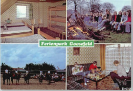 50729211 - Goosefeld - Other & Unclassified