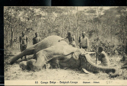Carte Avec Vue: N° 43 - 53 ( Eléphant - Tué Par Un Assassin De Chasseur) Obl. MATADI: 31/07/1918 - Ganzsachen