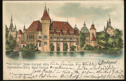 HUNGARY BUDAPEST Litho Postcard 1901 - Hungría