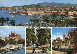 72498891 Palma De Mallorca Panorama Hafen Palmenallee Windmuehlen Palma - Andere & Zonder Classificatie