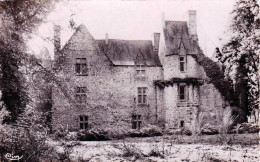 53 - Mayenne -  PONTMAIN - Chateau De Mausson - Pontmain