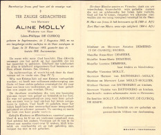 Doodsprentje / Image Mortuaire Aline Molly - De Clercq - Ingelmunster Ieper 1882-1955 - Obituary Notices