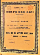 S.A. Compagnie Des Mines D'or De San Carlos (1903) - Miniere