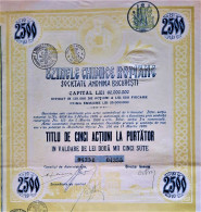 Usinele Chimice Romane-S.A.Bucuresti- Titlu De Cinci Act. (1920) - Industrie