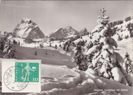 Ibergeregg - Skigebiet Gegen Mythen        Ca. 1950 - Sonstige & Ohne Zuordnung