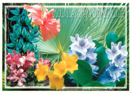 Martinique - Fleurs - Hbiscus Liane De Jade Laurier Rose Allamanda Et Jacynthe D'eau Sur Un Fond De Palmier éventail - C - Other & Unclassified
