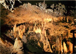 Spéléologie - Grottes De Fontirou - Salle Des Minarets - Potholing - Cave - CPM - Carte Neuve - Voir Scans Recto-Verso - Sonstige & Ohne Zuordnung