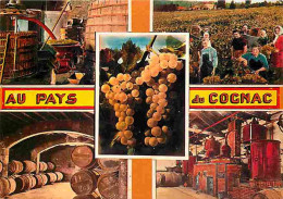 Vignes - Au Pays Du Cognac - Multivues - Distillerie - Vendanges - Chais De Vieillissement - CPM - Voir Scans Recto-Vers - Weinberge