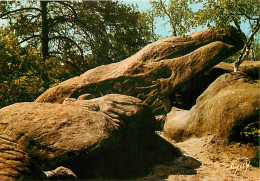 77 - Fontainebleau - Forêt De Fontainebleau - Dans Les Gorges De Franchard : Le Crocodile - Curiosité Géologique - CPM - - Fontainebleau