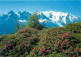 74 - Chamonix - Mont-Blanc - La Chaine  Du Mont-Blanc - CPM - Voir Scans Recto-Verso - Chamonix-Mont-Blanc