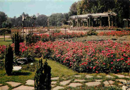 69 - Lyon - Parc De La Tete D'Or - La Roseraie - Fleurs - Carte Neuve - CPM - Voir Scans Recto-Verso - Andere & Zonder Classificatie