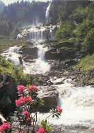 65 - Hautes Pyrénées - Cascade D'Arse - CPM - Voir Scans Recto-Verso - Autres & Non Classés