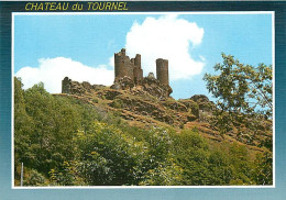 48 - Saint Julien Du Tournel - Les Ruines Du Château Du Tournel - CPM - Carte Neuve - Voir Scans Recto-Verso - Autres & Non Classés