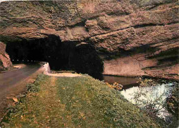 09 - Le Mas D'Azil - Grotte Du Mas D'Azil - Entrée Nord - Carte Neuve - CPM - Voir Scans Recto-Verso - Sonstige & Ohne Zuordnung