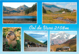 05 - Hautes Alpes - Col De Vars - Multivues - Marmottes - CPM - Voir Scans Recto-Verso - Other & Unclassified