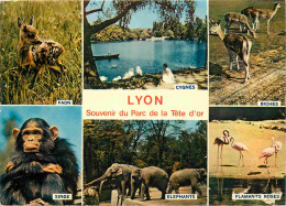 Animaux - Lyon - Parc De La Tête D'Or - Multivues - Zoo - CPM - Voir Scans Recto-Verso - Sonstige & Ohne Zuordnung