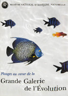 Animaux - Poissons - Muséum National D'Histoire Naturelle De Paris - Grande Galerie De L'évolution - Dessin - Illustrati - Fische Und Schaltiere