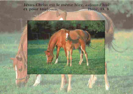 Animaux - Chevaux - Jument Et Son Poulain - Voir Scans Recto Verso  - Paarden