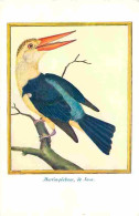 Animaux - Oiseaux - Martin Pecheur De Java - CPM - Voir Scans Recto-Verso - Vögel